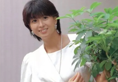 【顔画像】河合奈保子の旦那は金原宜保!子供は2人で息子と娘!